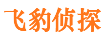 临潭市婚姻出轨调查